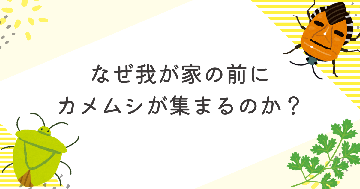 カメムシよ、なぜ集まる