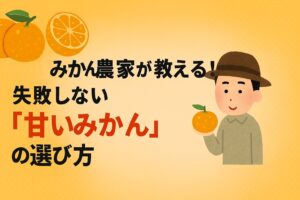 みかん農家が教える！失敗しない「甘いみかん」の選び方【軸の細さ・重さで判別】