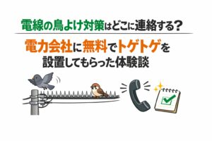 電線の鳥よけ対策はどこに連絡する？電力会社に無料でトゲトゲを設置してもらった体験談