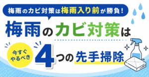 梅雨のカビ対策は梅雨入り前が勝負！今すぐやるべき4つの先手掃除