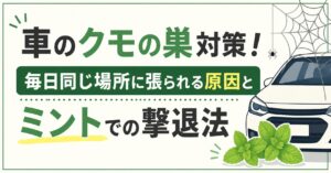 車のクモの巣対策！毎日同じ場所に張られる原因とミントでの撃退法