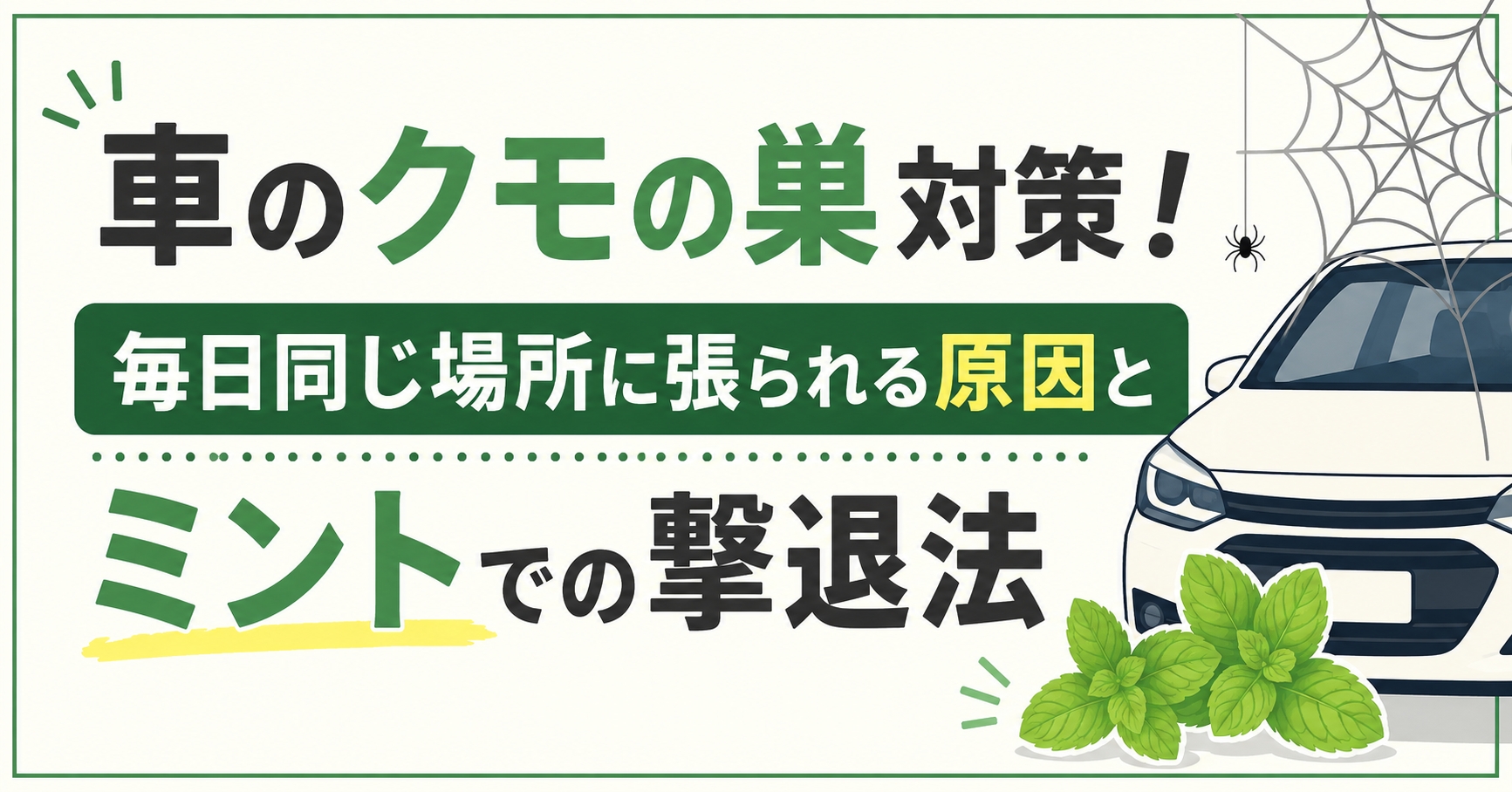 車のクモの巣対策!毎日同じ場所に張られる原因とミントでの撃退法