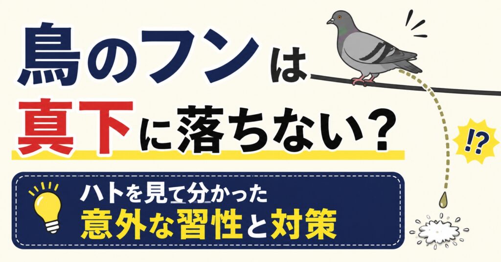 鳥のフンは真下に落ちない？ハトを見て分かった意外な習性と対策