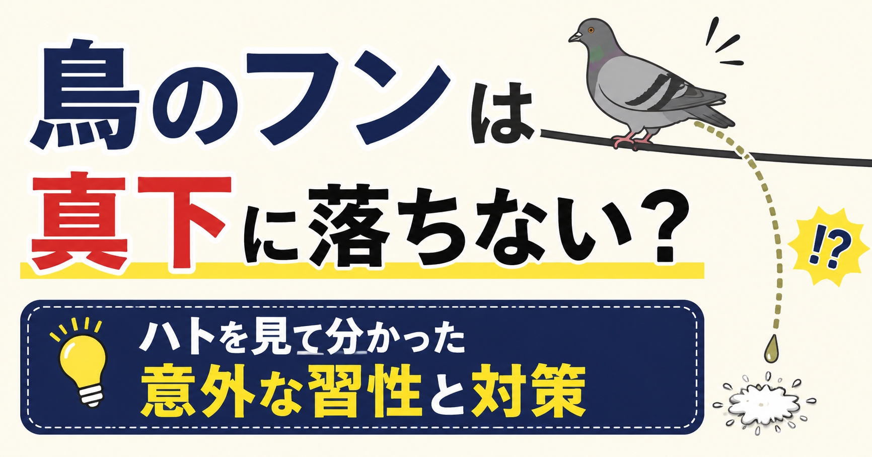 鳥のフンは真下に落ちない?ハトを見て分かった意外な習性と対策